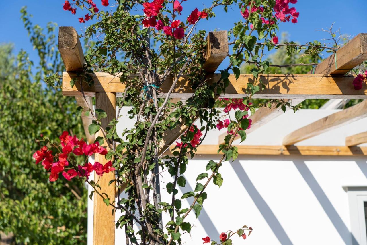 Anassa Cycladic Village Galissas Exterior photo