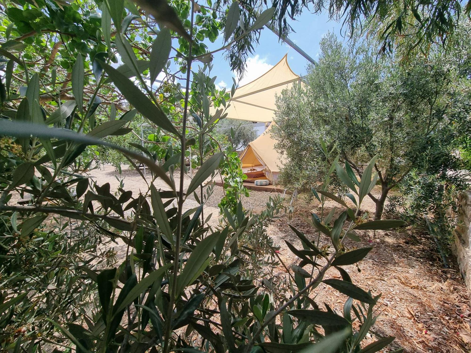 Anassa Cycladic Village Galissas Room photo
